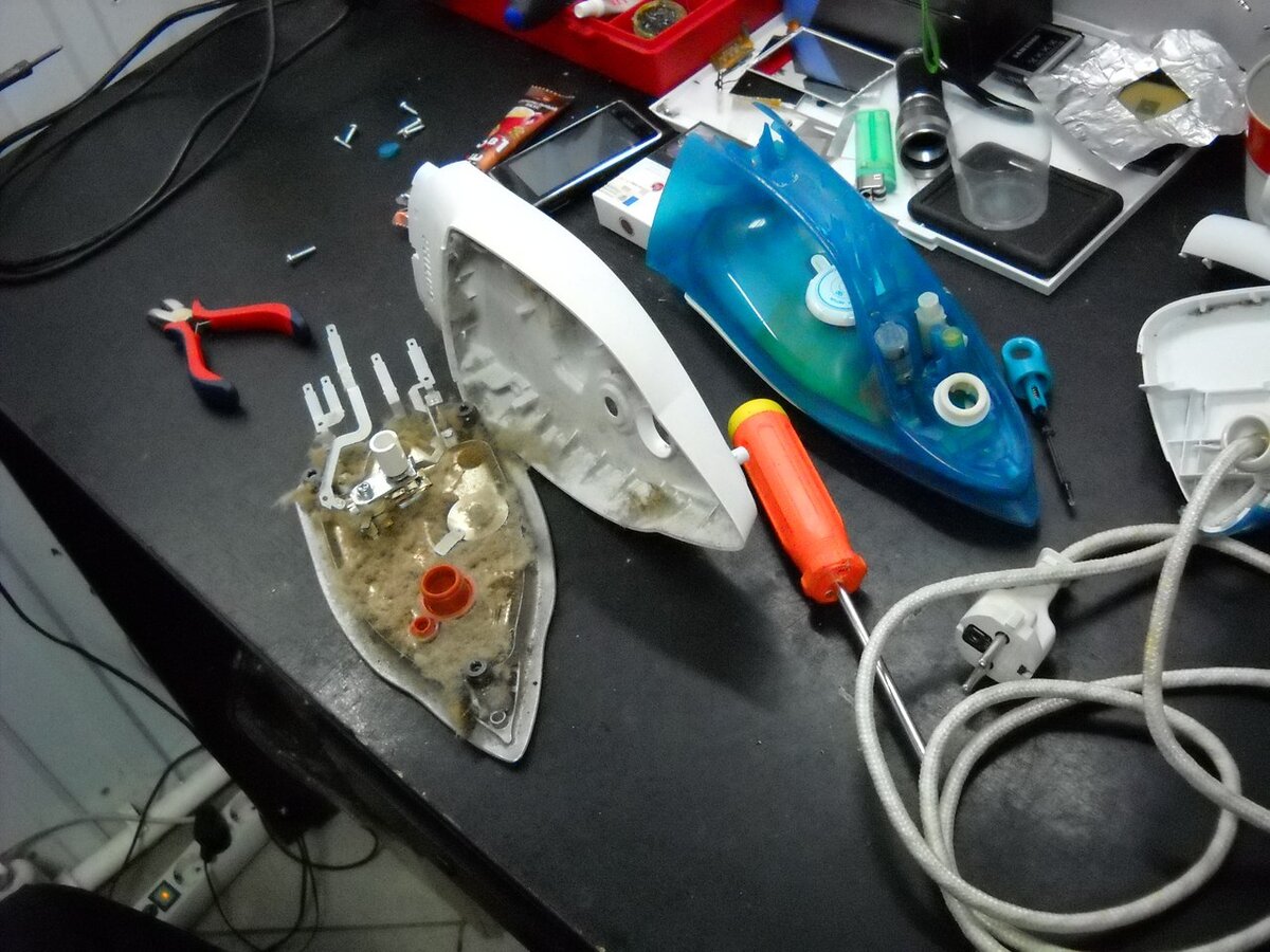 Открыв корпус, мастер закричал и убежал 