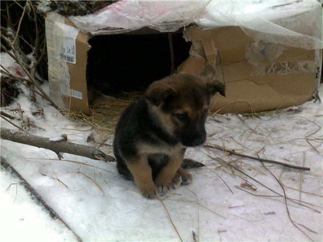 фото для иллюстрации взято с яндекс картинки