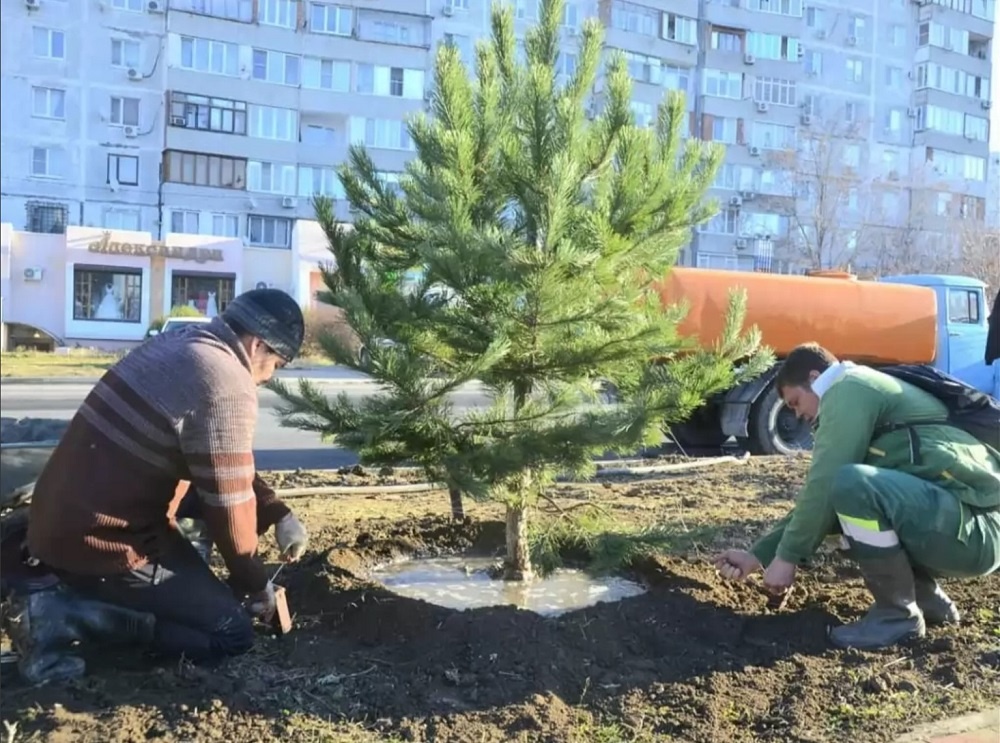 Источник фото: администрация Анапы.