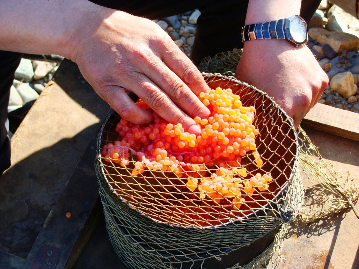 Личное фото.