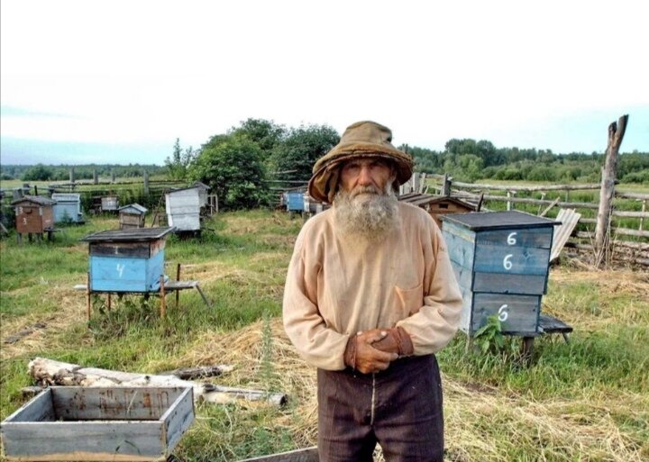 Фото с просторов интернета