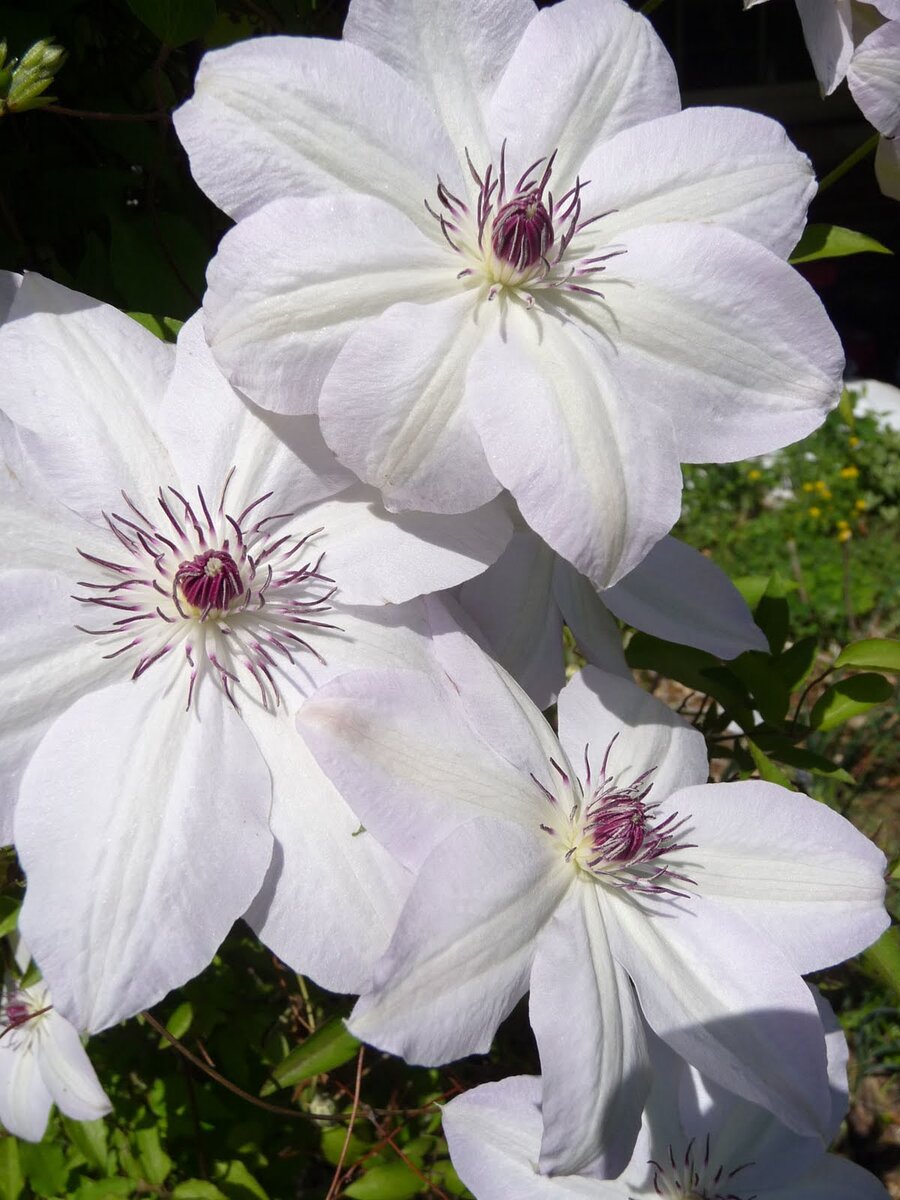 Источник  Яндекс картинки 