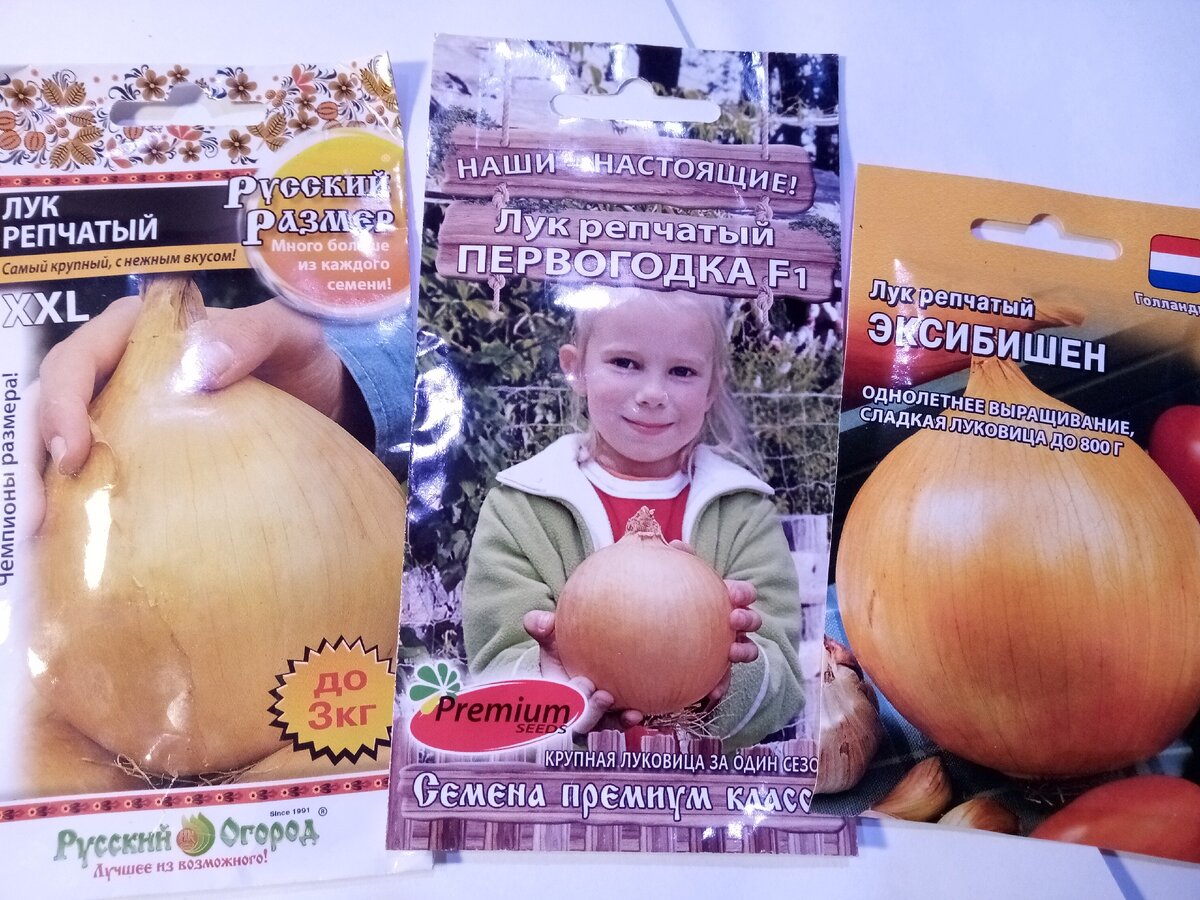 Семена лука на посадку