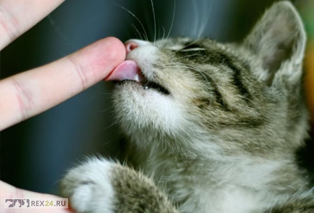  Фото: fb.ru