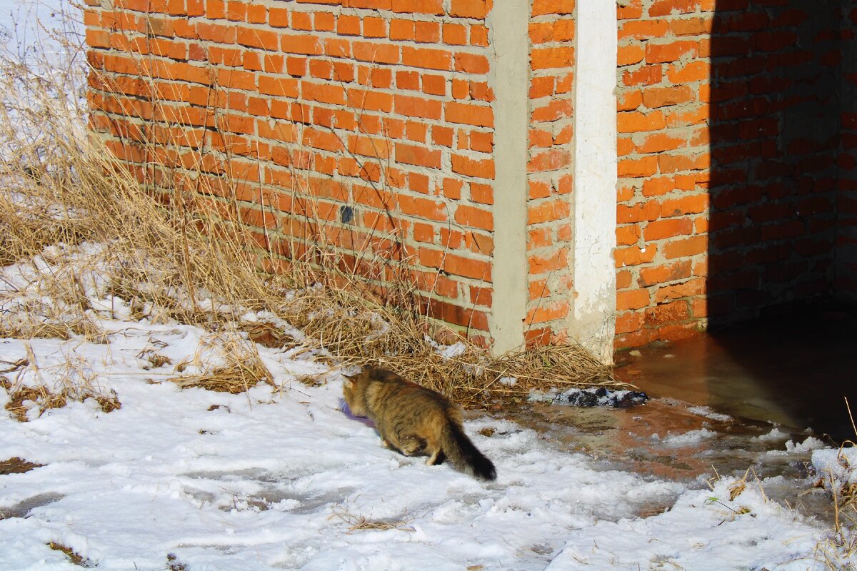 Увидели в глухой деревеньке заброшенную общую баню, зашли посмотреть, рассказываю, что находится внутри здания