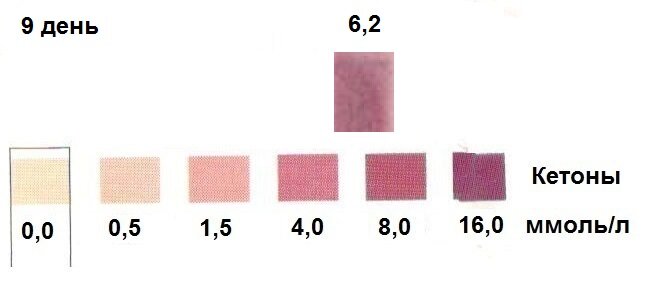 Кетоны - эталонная полоска и тест-полоска 9 дня