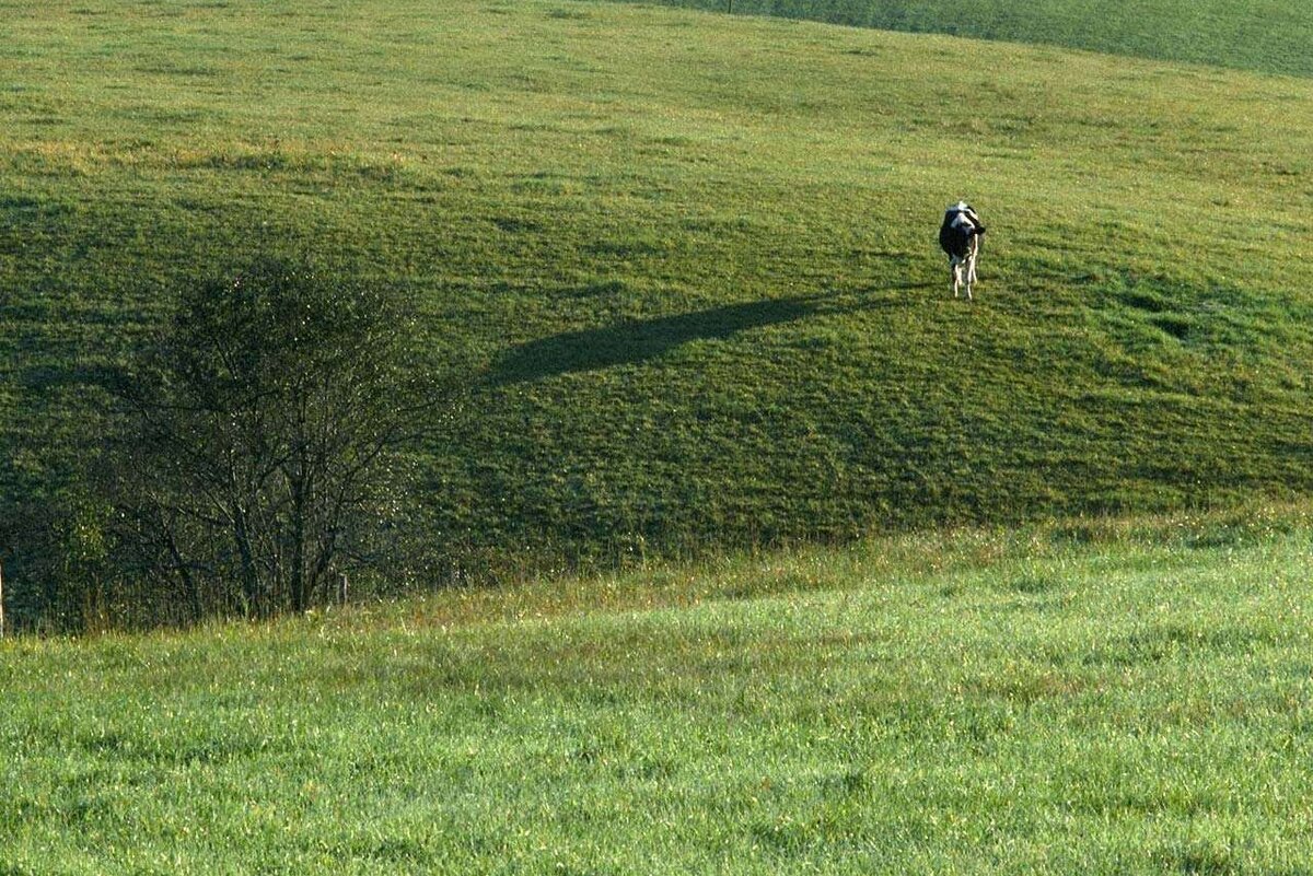 Вот так я себя ощущал, когда произносил слова с буквой  R.