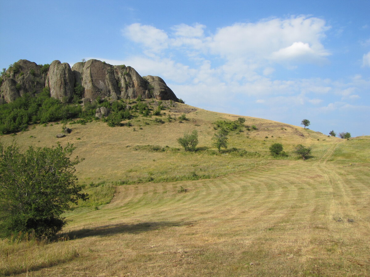 Источник: https://geograf.bg/bg/article/komatinskite-skali-prirodnite-strazhi-na-vlahina-planina