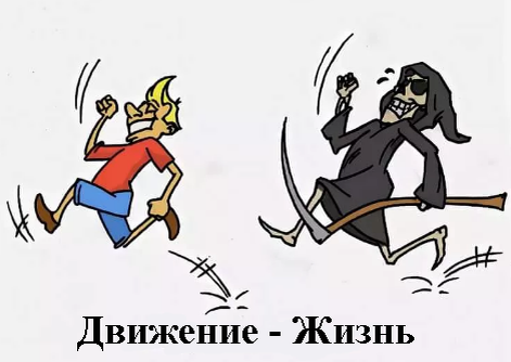 Движение-жизнь