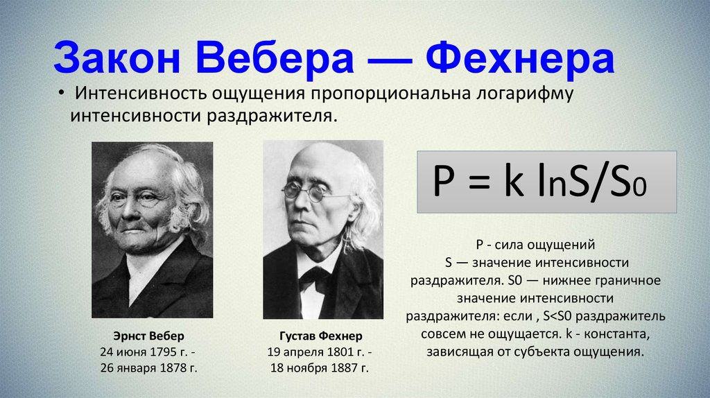 Изменение интенсивности ощущений. Психофизический закон Вебера-Фехнера. Психофизический закон Вебера-Фехнера кратко. Законы Бугера Вебера Вебера Фехнера и Стивенса. Закон Вебера Фехнера ощущение
