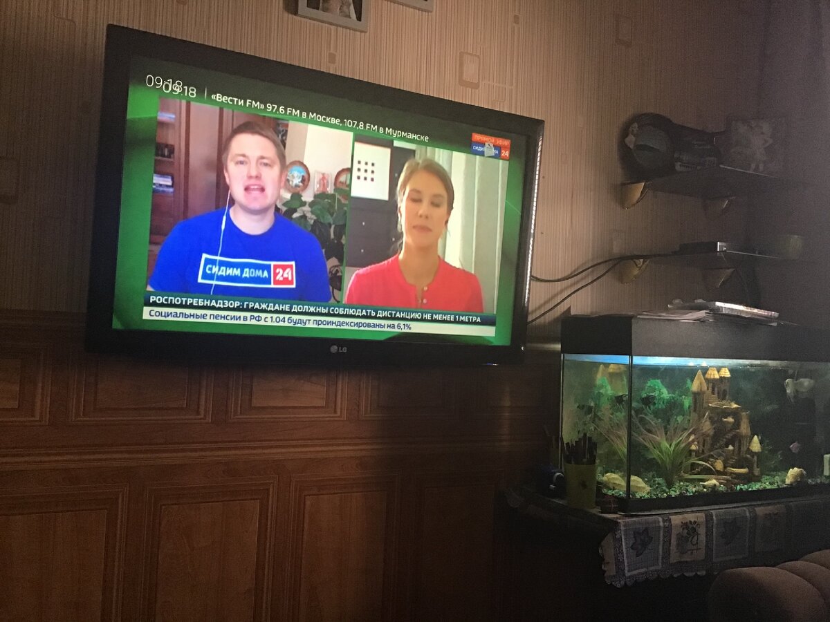 Фото автора. Вид с дивана.