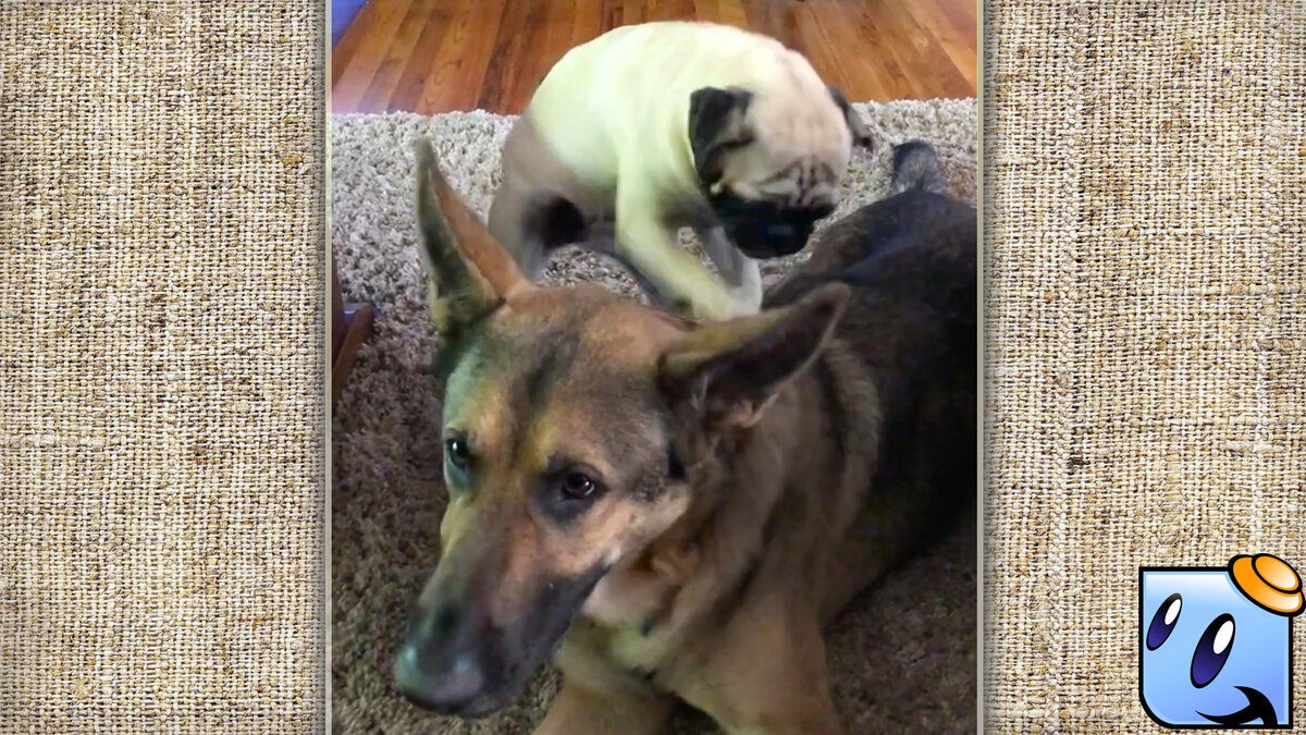 Разминай тщательней, без халтуры!