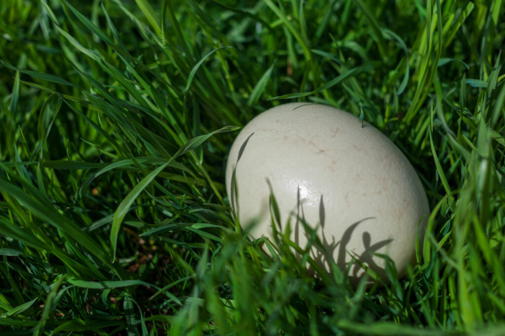 яндекс картинка