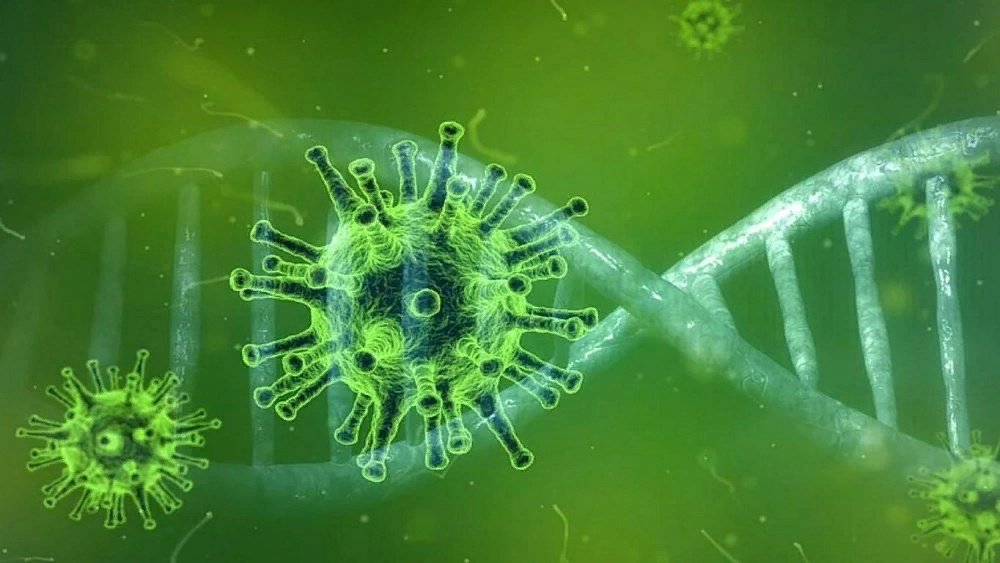 Картинка из открытого источника.