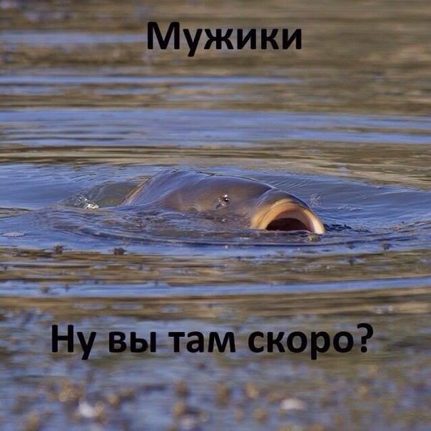 Из-за этого карантина теперь и сами не знаем 😔