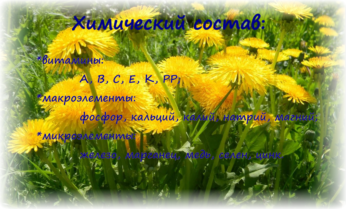 Химический состав