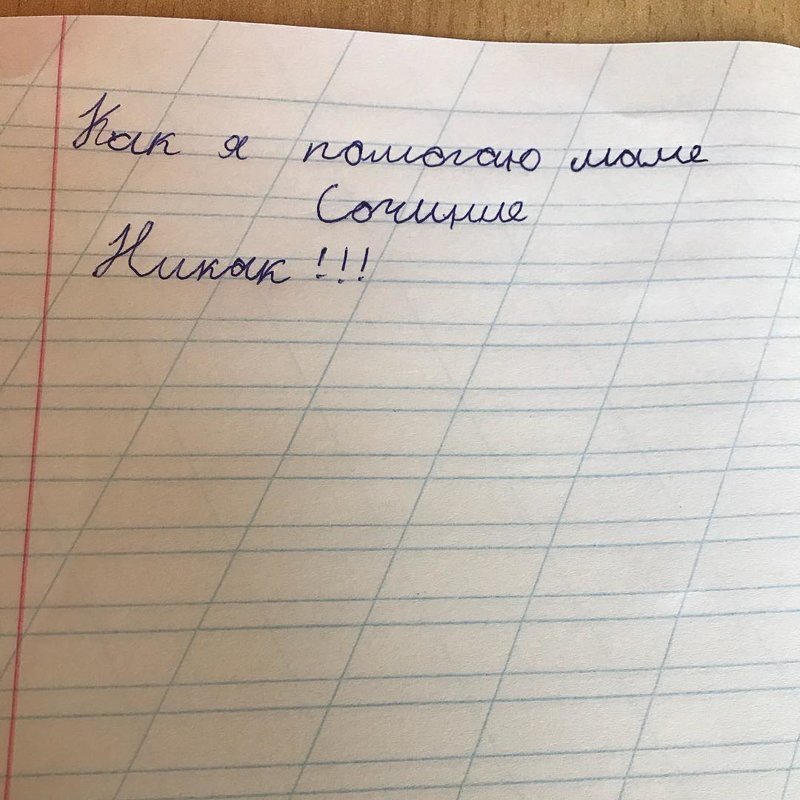 Очень интересное сочинение новерное этому ученику поставили хорошую оценку