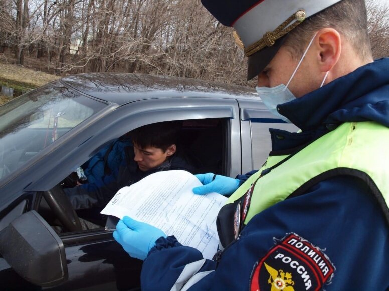 фото https://static.ngs.ru/