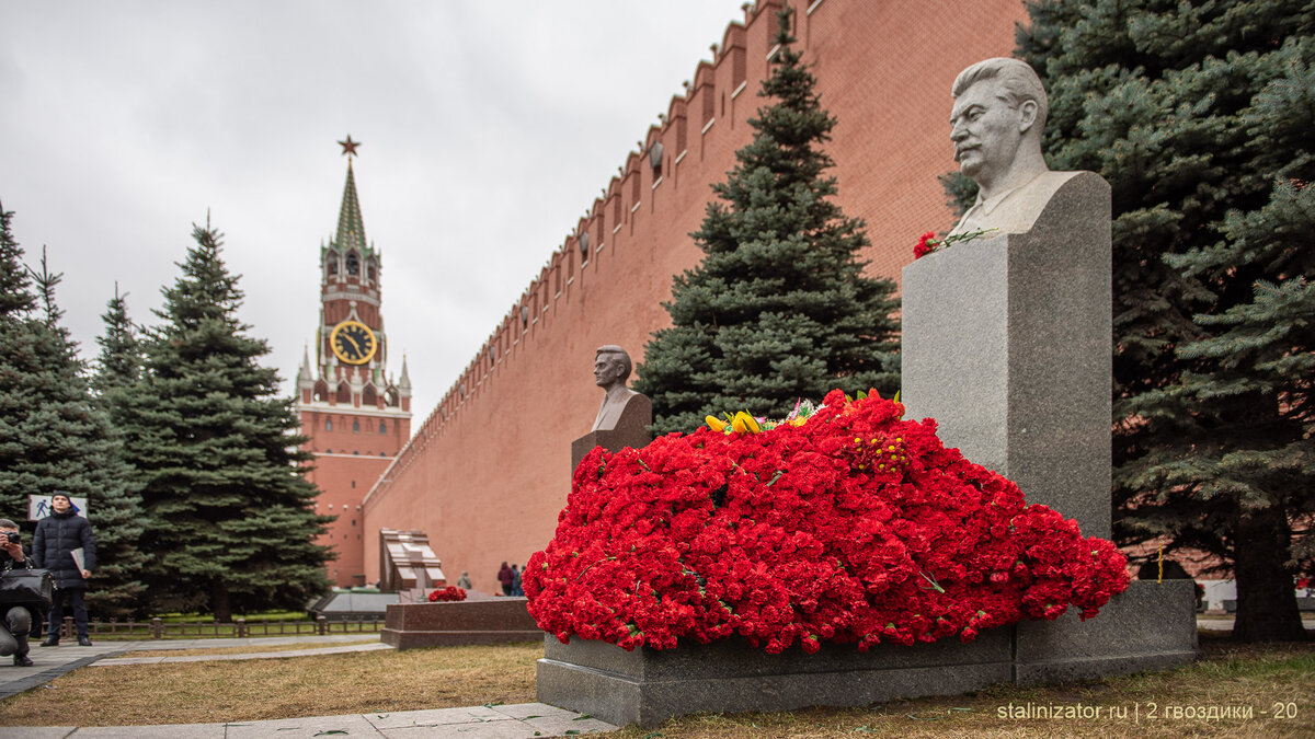 Голубые ели у кремлевской стены в москве