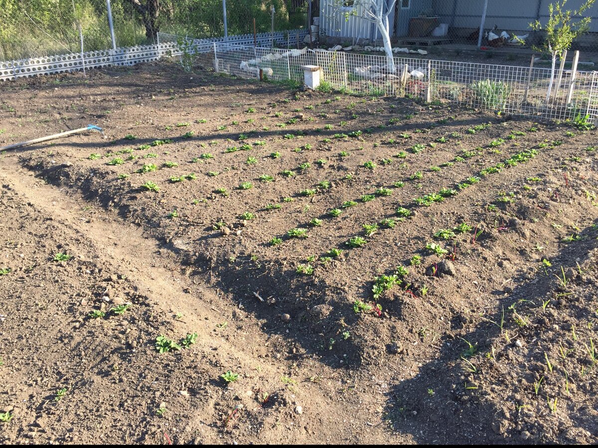 Фото из личного архива.