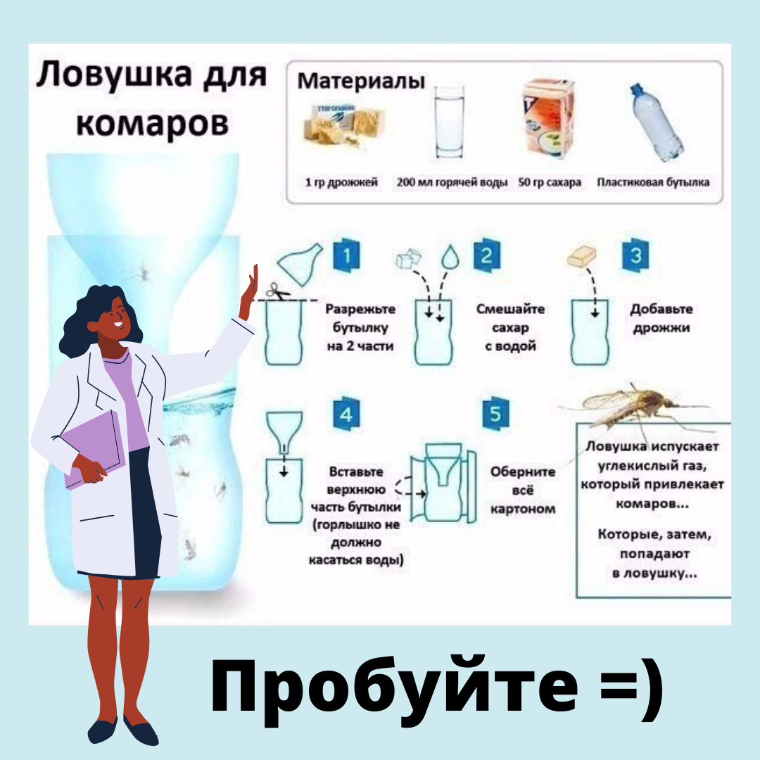 Ловушка для комаров и муравьев из пластиковой бутылки своими руками