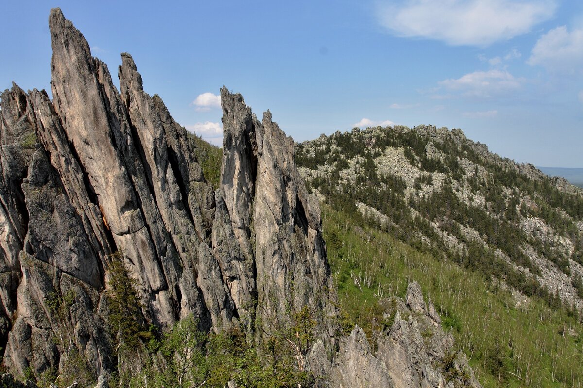 Бараньи лбы актру фото