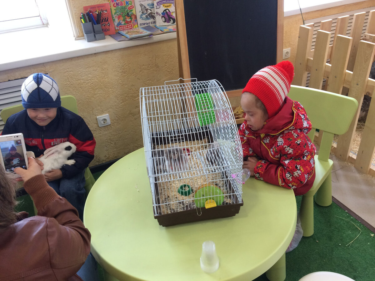 Для многих детей, возможно, это был единственный шанс увидеть и ощутить тепло этих маленьких комочков радости.