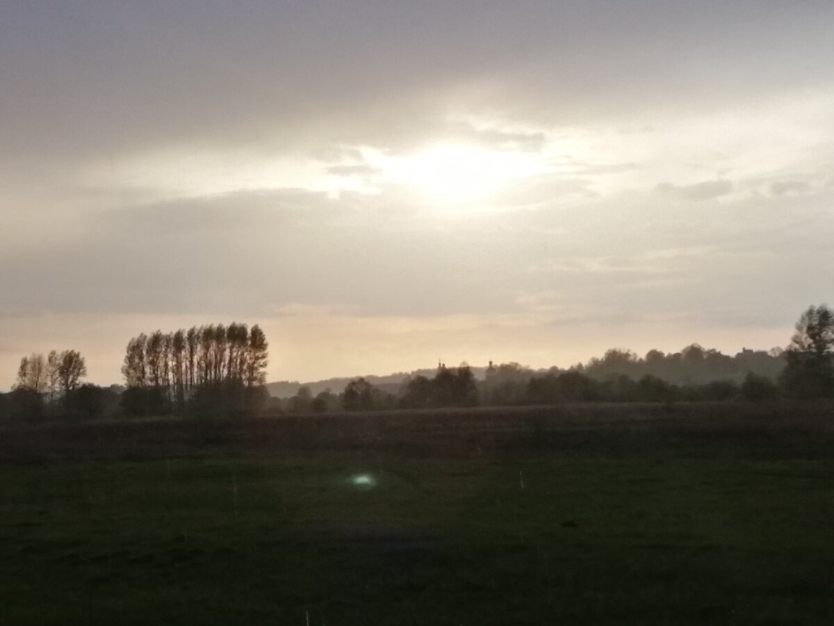 Что то светящееся быстро двигалось по лугу. Успел 2 кадра заснять. По самой траве.