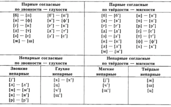 Парный звук по твердости и мягкости. Звуки по твердости и мягкости таблица. Парные по твердости-мягкости согласные. Парные звуки по твердости и мягкости.