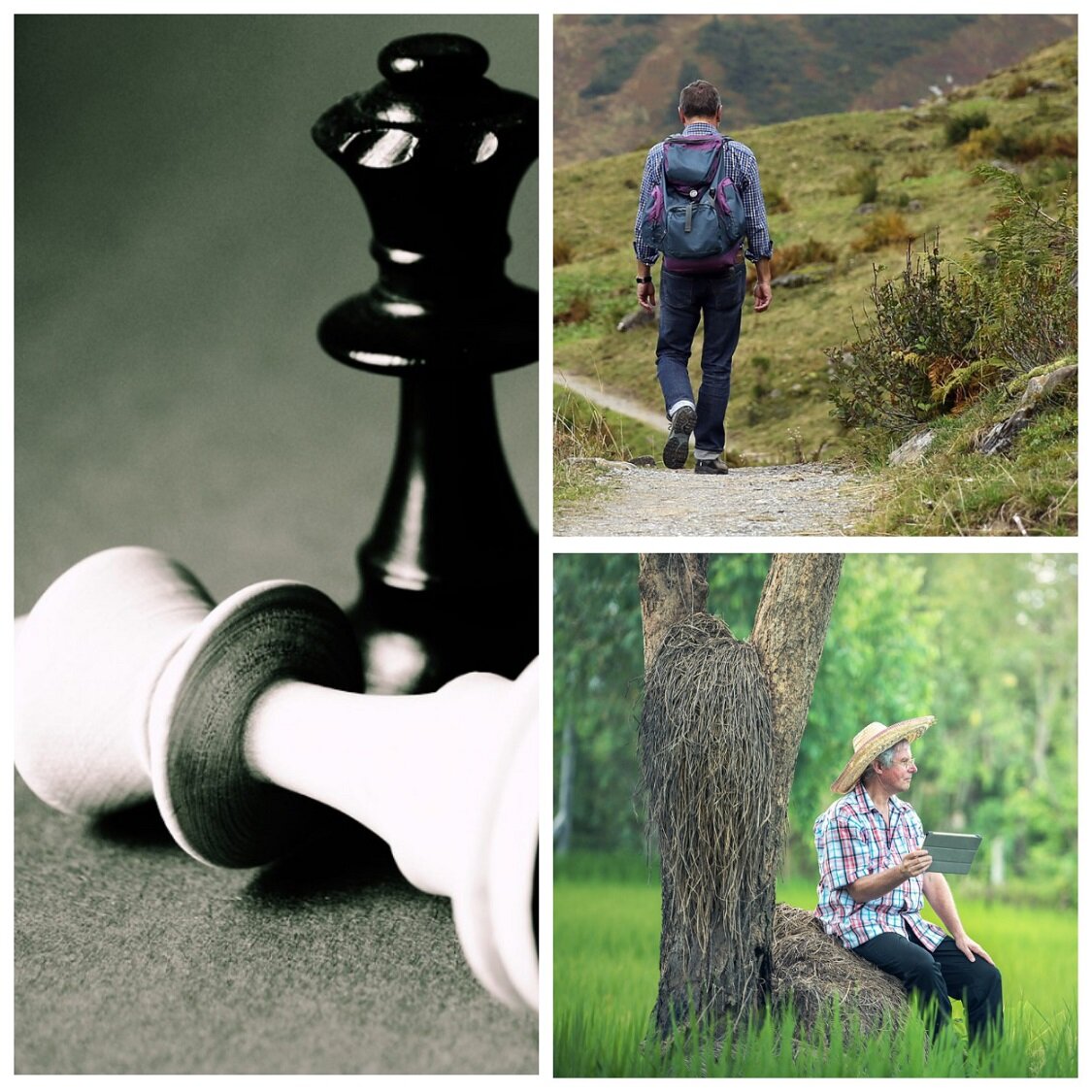 Ставьте лайки и подписывайтесь на канал! Так вы поможете развитию канала!