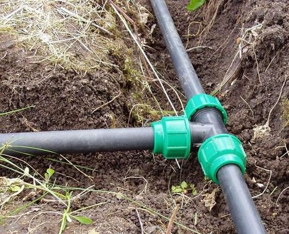 Фото: https://i.pinimg.com