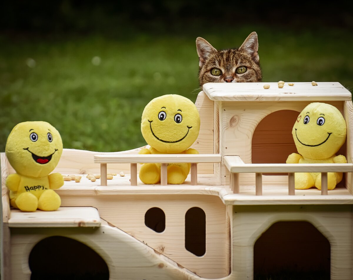 Фото: pixabay.com