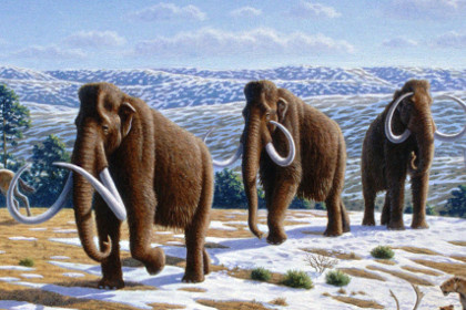 Фото с сайта: wikipedia             Изображение: Mauricio Antón / Wikipedia