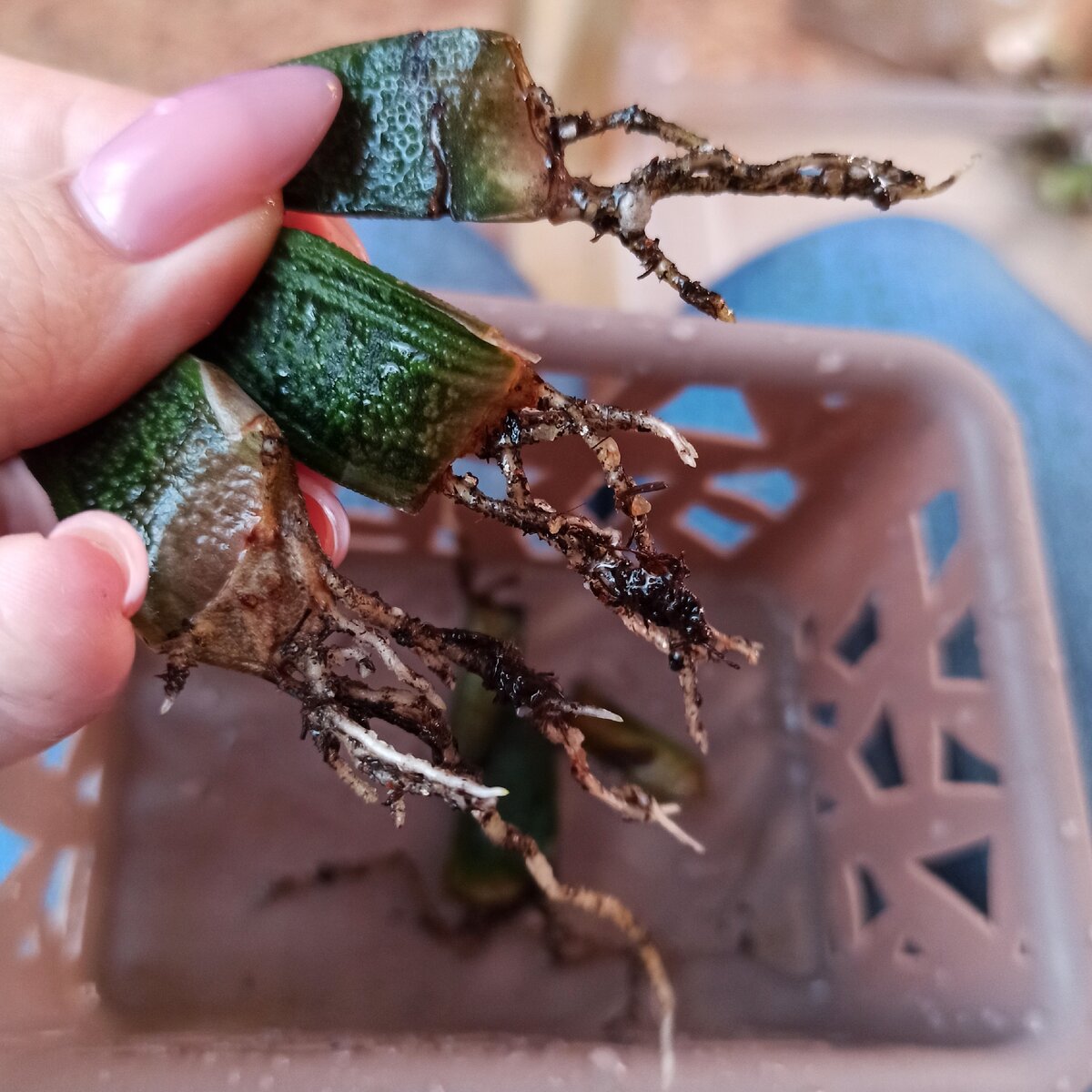 Фото от 24.10.2020