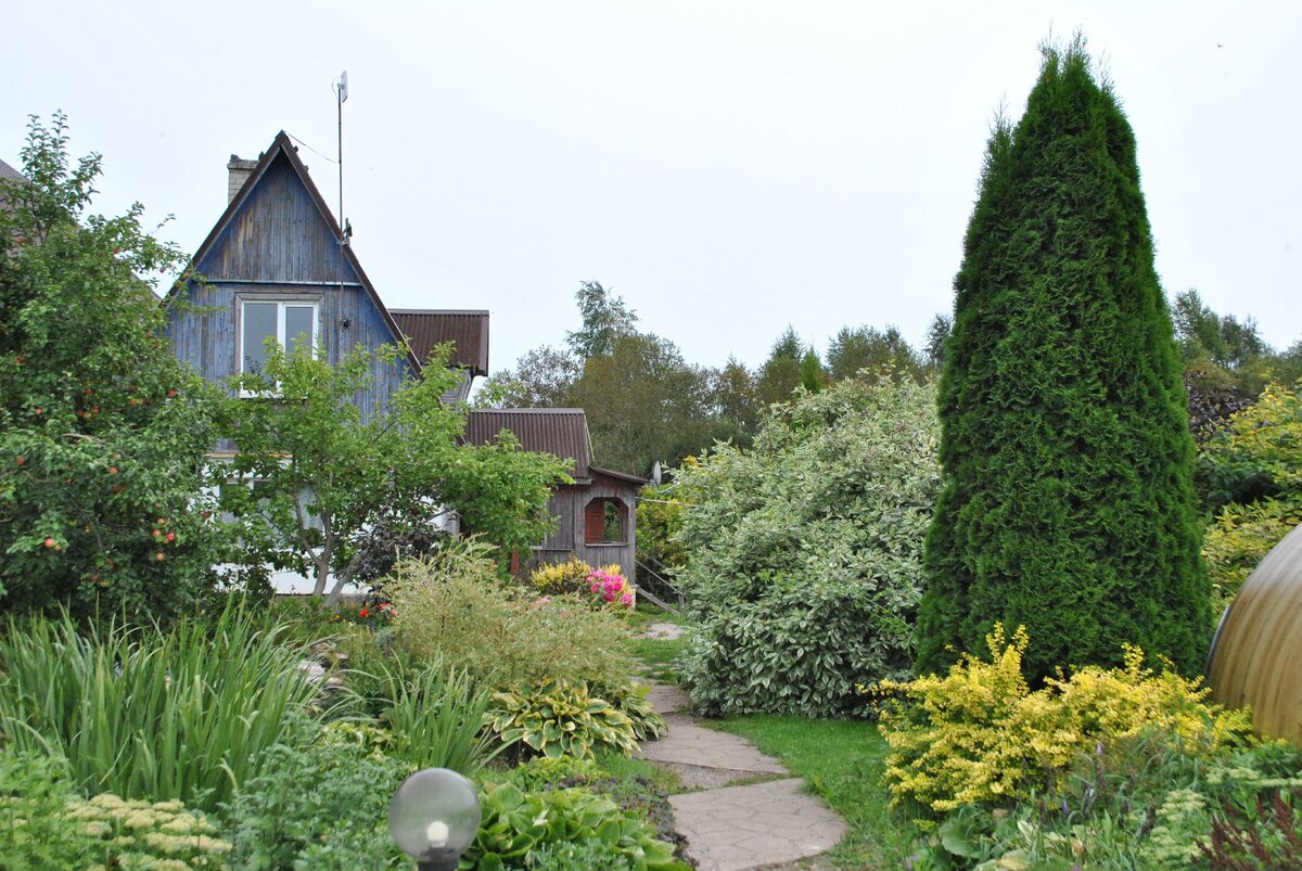 Вход в "Птичий дворик"