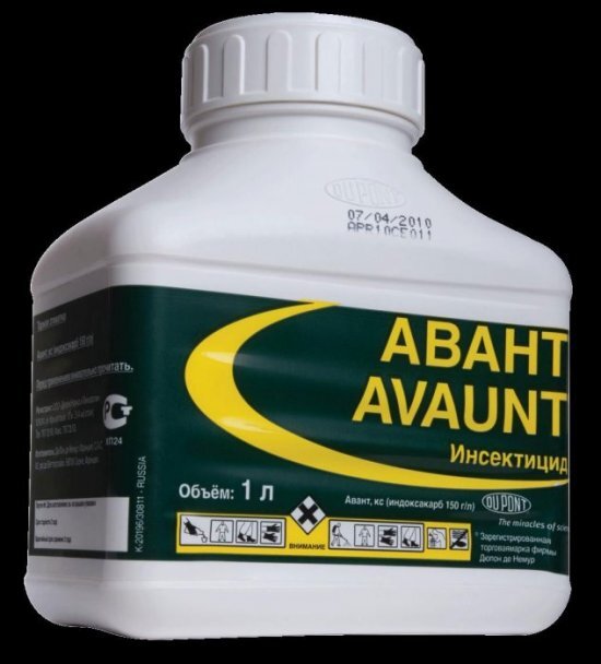 
Важно использовать меры предосторожности при обработке растений инсектицидом