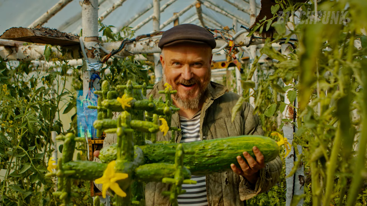 Кибер деревня ютуб. Russian Cyberpunk Farm русская кибердеревня. Фрактал Кукумбер кибердеревня. Сергей Чихачев кибердеревня. Фрактальные огурцы кибердеревня.