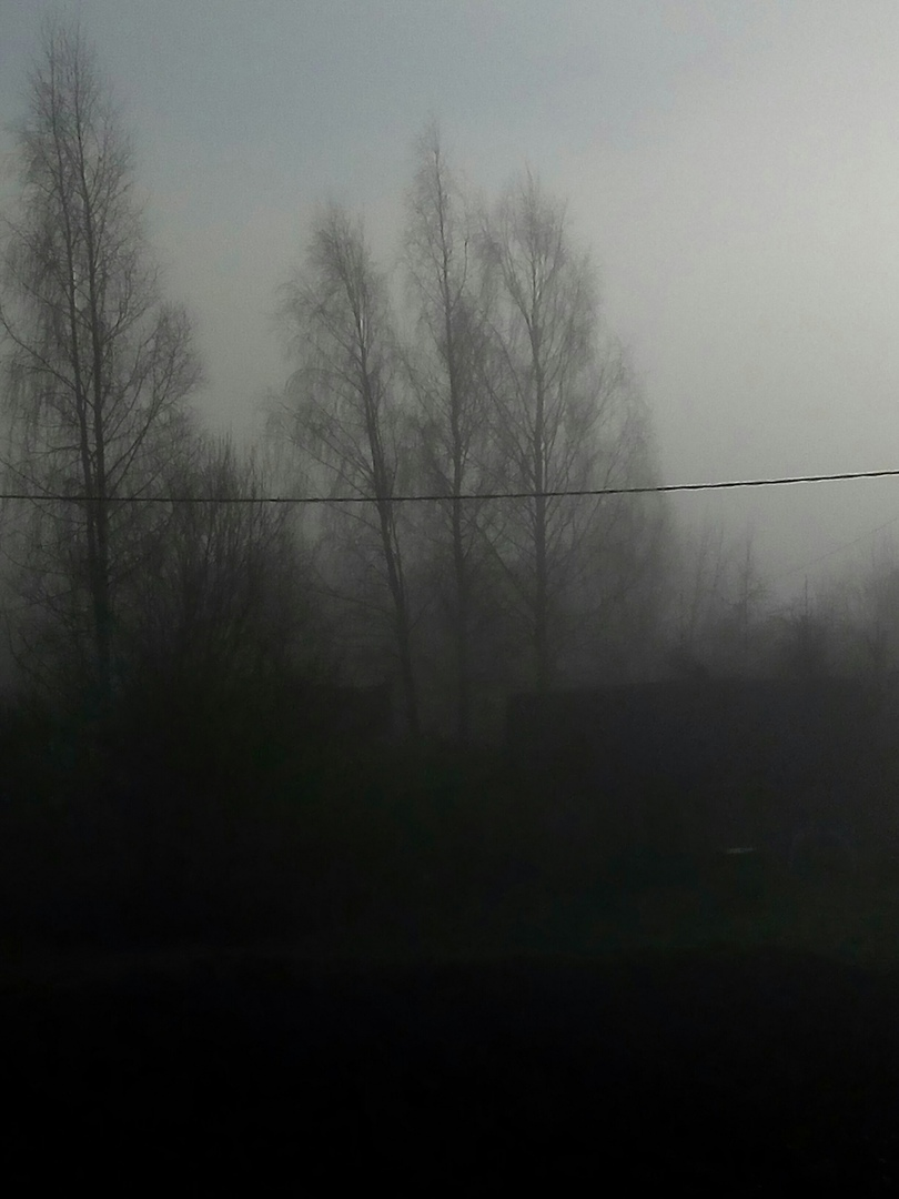 фото автора 25.11.2020