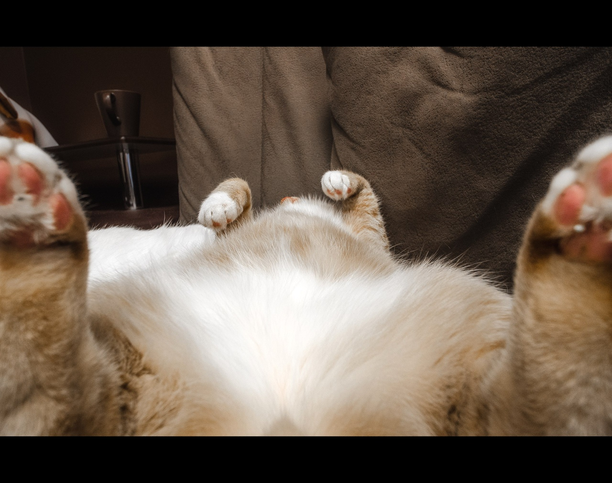 Один из кадров, который я сделал в том кафе