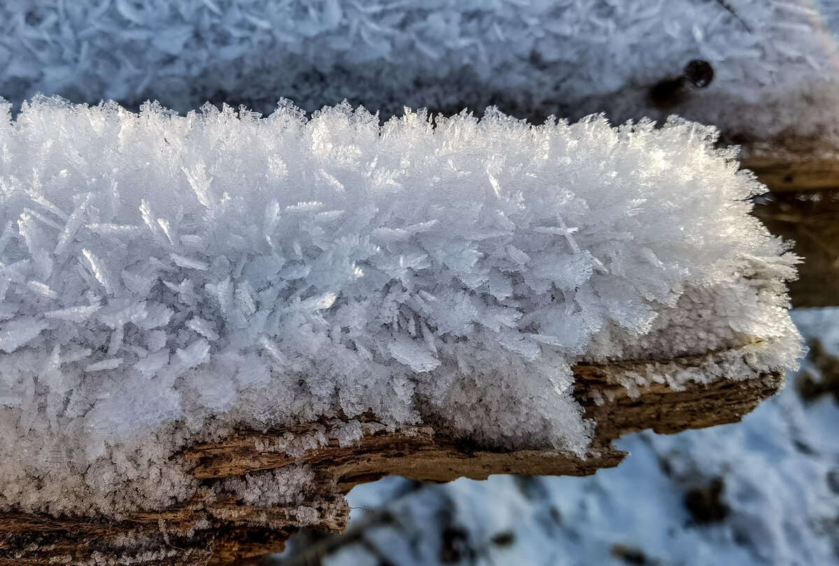 Снято на широкоугольную камеру P40Pro+ в режиме макросъемка: 26мм, F1.8, 1/530s, ISO50.