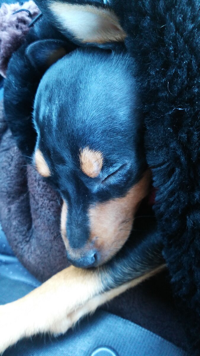 маленькое чудо!