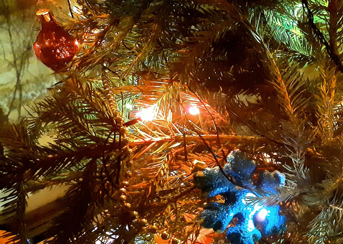 Фото на старый Новый год. Последние кадры.