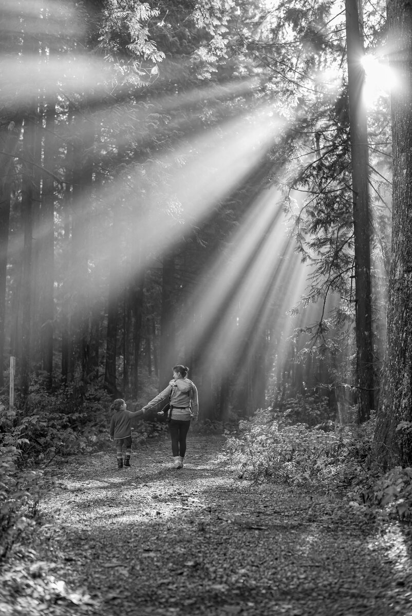 Фото из открытых источников.