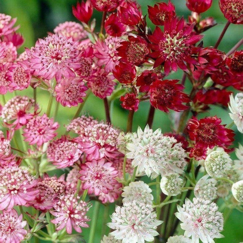 Источник Яндекс.Картинки