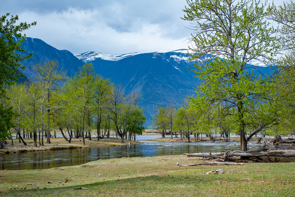 Горный Алтай. Красивая река Чулышман не оставляет равнодушным |  Фотопутешествия | Дзен
