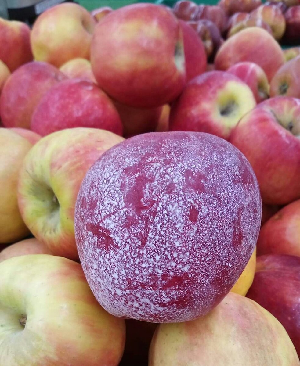 На переднем плане то, что называется: некачественная подготовка продукта, к его реализации. Это в магазине. Всё остальное подготовлено к реализации качественно. Видимо руками, тряпкой, или чем-то ещё. Возможно, что смыто каким-нибудь деактивируюшим веществом, водным раствором, возможно просто водой из-под крана. Вы водицу-то из-под крана пьёте? Да? Живая наверное водица? Здоровье могучее! Так , как привыкли. Продукты с содержимым таблицы Дмитрия Иваныча, вода с тем же...мумифицируемся потихоньку. А помните, как в те старые добрые времена яблочки в деревянных ящичках, да в стружке, Да ещё и из тех же, обрезанных веток яблонь, груш, слив...каждому фрукту его среду! Теперь только морковку в её среде купить можно. Морковку стограммовую в полукилограммовом комке чернозёма. Природно же? Привыкшим употреблять нечищенное, можно и не мыть! К этому салату можно добавить картофель, там грунт несколько иной, песка поболее будет. Того и гляди, зубной камень сам отпадёт. Качество! Повышенное качество отношения к потребителю прямо! Чем ниже качество продукта и выше содержимого дряни в нём, тем выше цена внимания к потребителю и какой-то особенный трепет? -А хотите, вот помытая морковка и упакованная, в вакуум. Экологически чистая! Ух-ты, правда что ли?  Открывай и ешь! Вот и лежит полгода, недоеденная. Хоть бы высохла что ли? Наверное особенно качественно помыта была. А за таким яблочком к прилавку, не по-себе становится. До кочерыжки аромата не услышишь, а может компот? - Хочешь правду? - Хочу! Вот слушай: выбираешь место, копаешь лунку-яму для посадки, ещё, ещё и много ещё. Вот тебе и сад яблоневый, грушевый...в общем стоит пробовать сорвать с ветки и съесть, зажмурившись от кайфа вкуса, а не от химозы-химозной! Да, и там между делом думаю будет грядка, из которой можно надёргать за душистую ботву порцию каротина! Правда здорово? И здорово здравствуй!