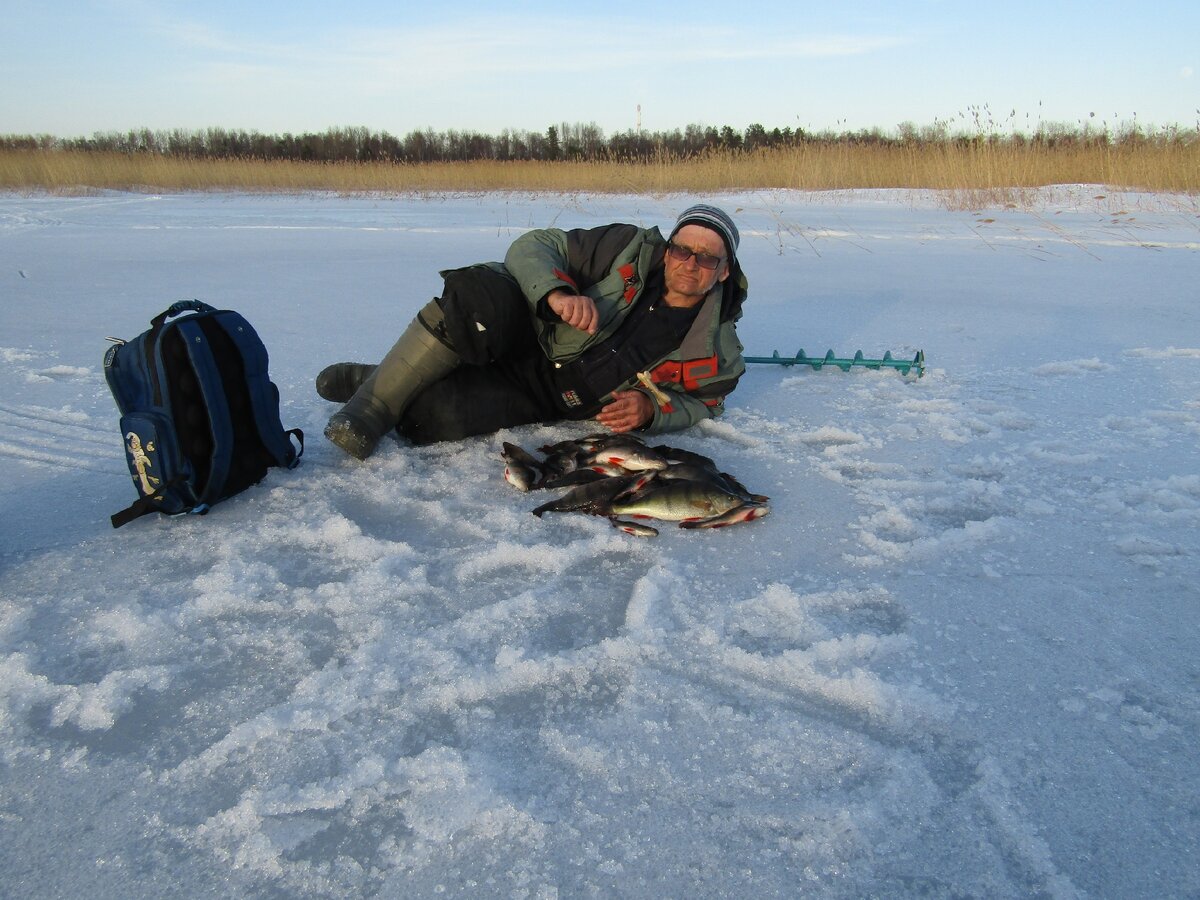 Зимняя рыбалка в Новосибирске. Рыбалка в Новосибирской области вести с водоемов. Рыбалка в новосибирске 2024