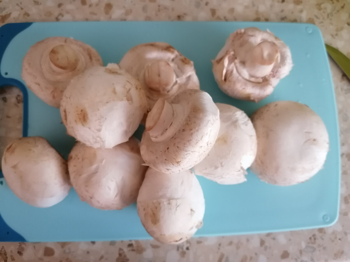 Крупные шампиньоны. Фото автора