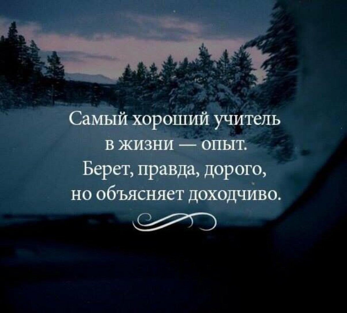 15 цитат о мудрости, которые стоит прочесть. | Путь к счастью | Дзен