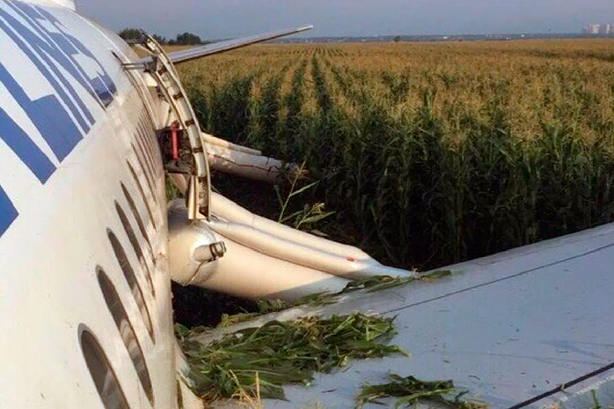 Самолет упал в кукурузное. A321 сел на кукурузное поле. Уральские авиалинии кукурузное поле пилот. А321 Уральские авиалинии кукурузное поле. Экипаж кукурузном поле а321.